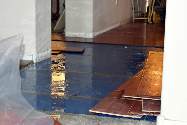 Professional Burst Pipe Water Damage technician working in Allamuchy, NJ